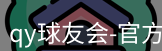 qy球友会